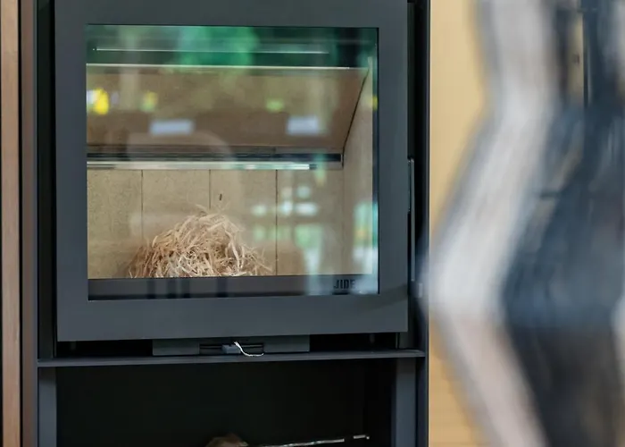 Nature Village - N°17 - 8 Personnes Bullange