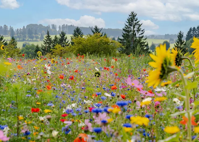 Nature Village - N°17 - 8 Personnes Avec Jacuzzi Domek letniskowy *