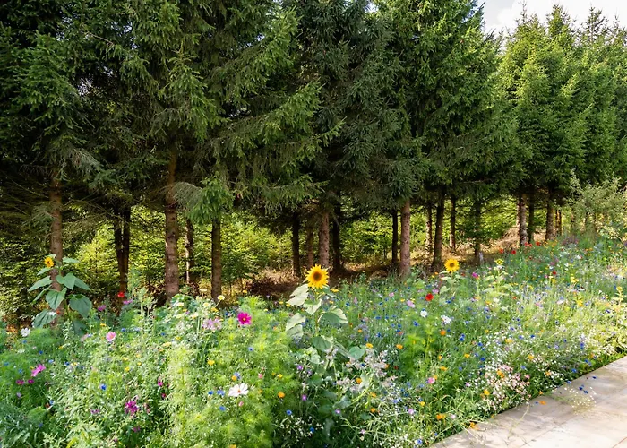 Nature Village - N°17 - 8 Personnes Avec Jacuzzi *